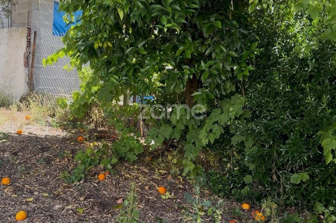 Moradia T2 para Venda em São Facundo e Vale das Mós Foto 8