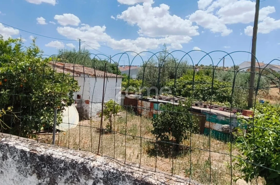 Moradia T1 para Venda em Almodôvar e Graça dos Padrões Foto 16