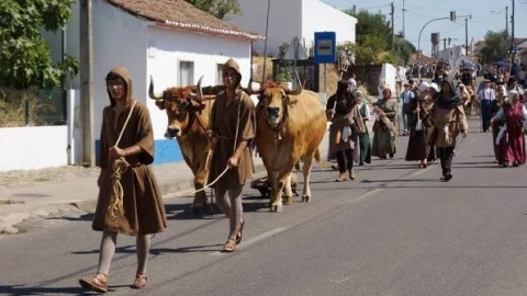 Moradia T3 para Venda em Riachos