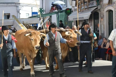 Moradia T3 para Venda em Riachos