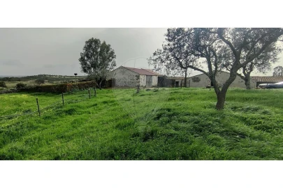 Terreno para Venda em São Miguel do Pinheiro, São Pedro de Solis, São Sebastião dos Carros