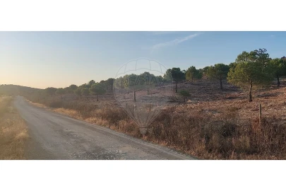 Terreno para Venda em São Miguel do Pinheiro, São Pedro de Solis, São Sebastião dos Carros