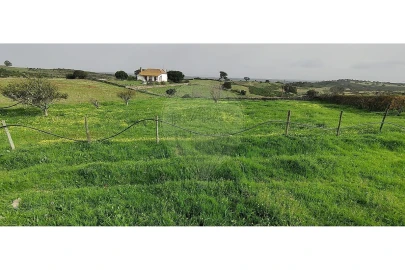 Terreno para Venda em São Miguel do Pinheiro, São Pedro de Solis, São Sebastião dos Carros