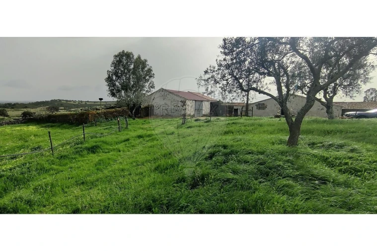 Terreno para Venda em São Miguel do Pinheiro, São Pedro de Solis, São Sebastião dos Carros Foto 3