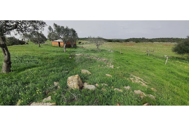 Terreno para Venda em São Miguel do Pinheiro, São Pedro de Solis, São Sebastião dos Carros Foto 12