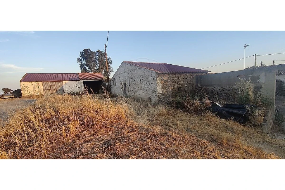 Terreno para Venda em São Miguel do Pinheiro, São Pedro de Solis, São Sebastião dos Carros Foto 1