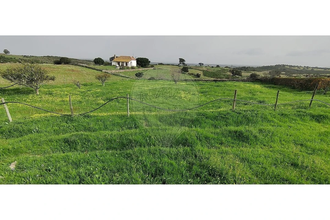Terreno para Venda em São Miguel do Pinheiro, São Pedro de Solis, São Sebastião dos Carros Foto 21