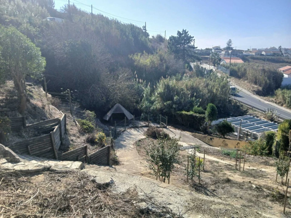 Terreno para Venda em Ericeira Foto 17