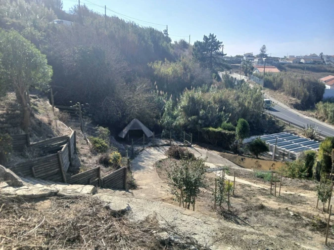 Terreno para Venda em Ericeira Foto 17