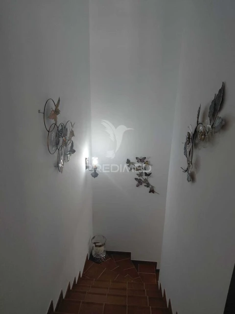Quinta T4 para Venda em Pedrogão