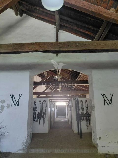Quinta T4 para Venda em Pedrogão