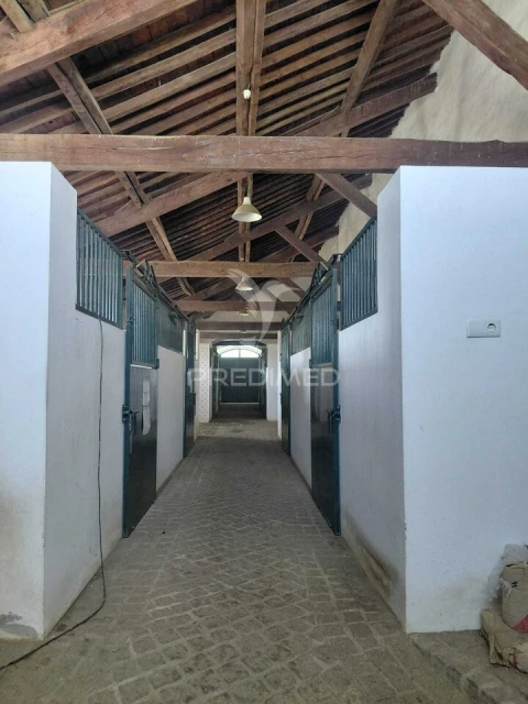 Quinta T4 para Venda em Pedrogão