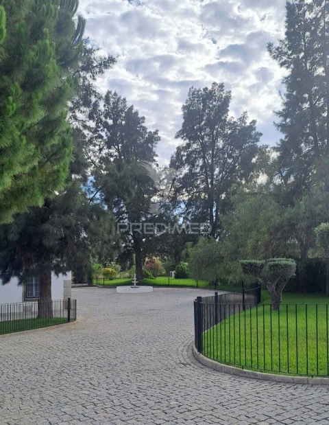 Quinta T4 para Venda em Pedrogão