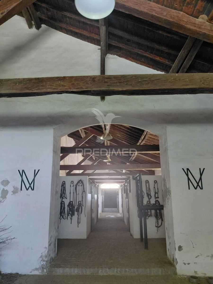 Quinta T4 para Venda em Pedrogão Foto 31