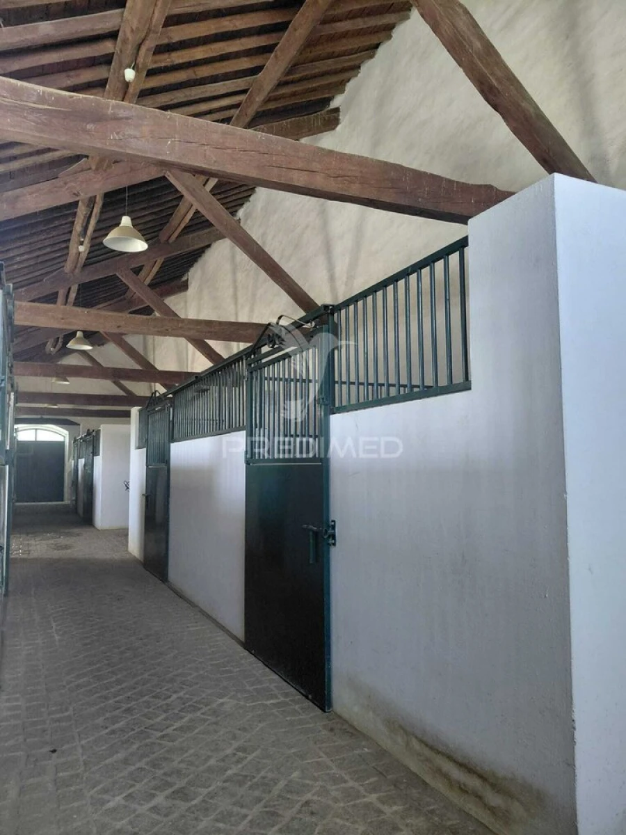 Quinta T4 para Venda em Pedrogão Foto 34