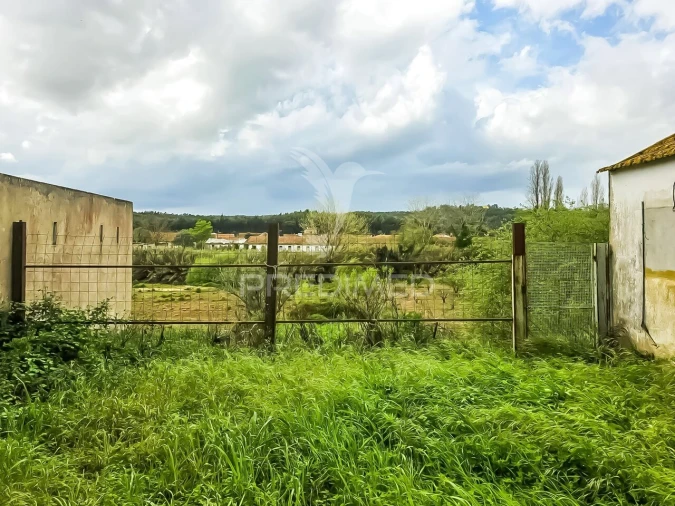 Moradia T4 para Venda em Rio Maior Foto 3