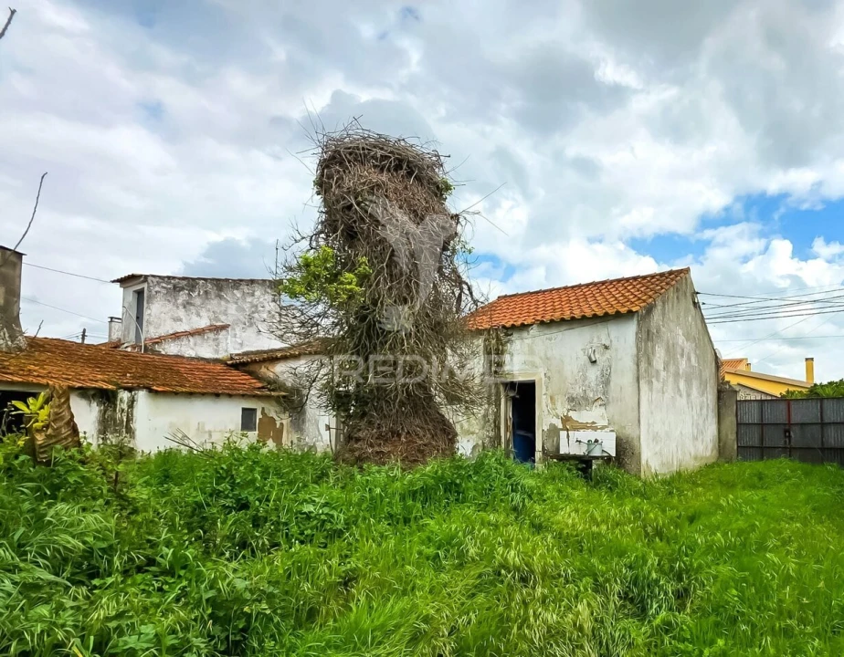 Moradia T4 para Venda em Rio Maior Foto 7