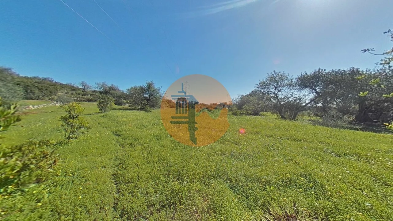 Terreno para Venda em Conceição e Estoi Foto 3