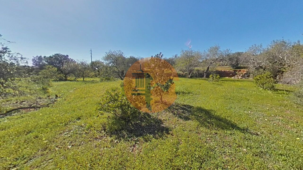 Terreno para Venda em Conceição e Estoi Foto 9