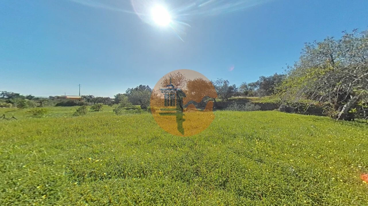 Terreno para Venda em Conceição e Estoi Foto 10