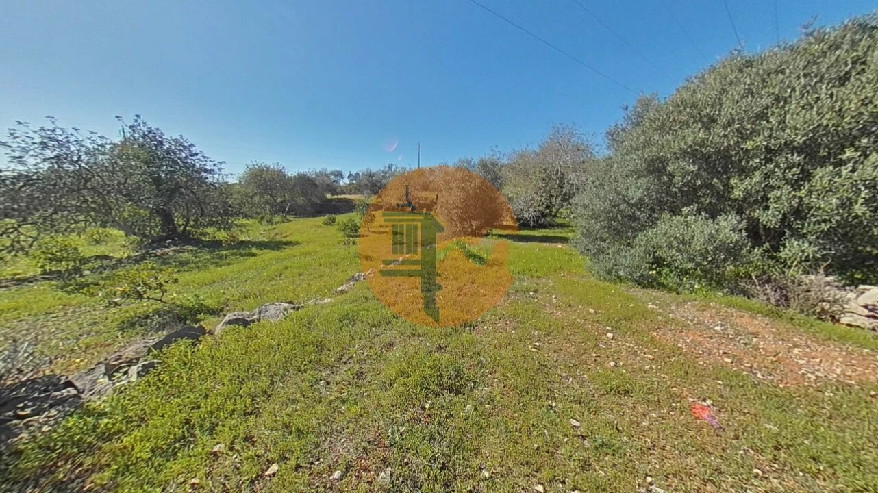 Terreno para Venda em Conceição e Estoi Foto 11