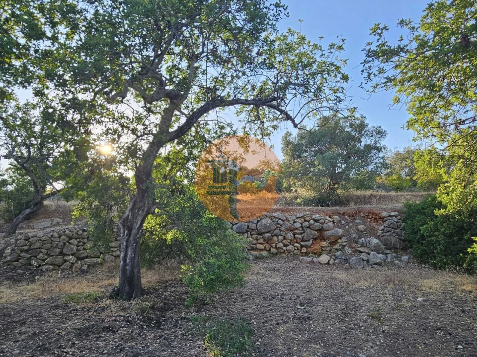 Terreno para Venda em Conceição e Estoi Foto 2