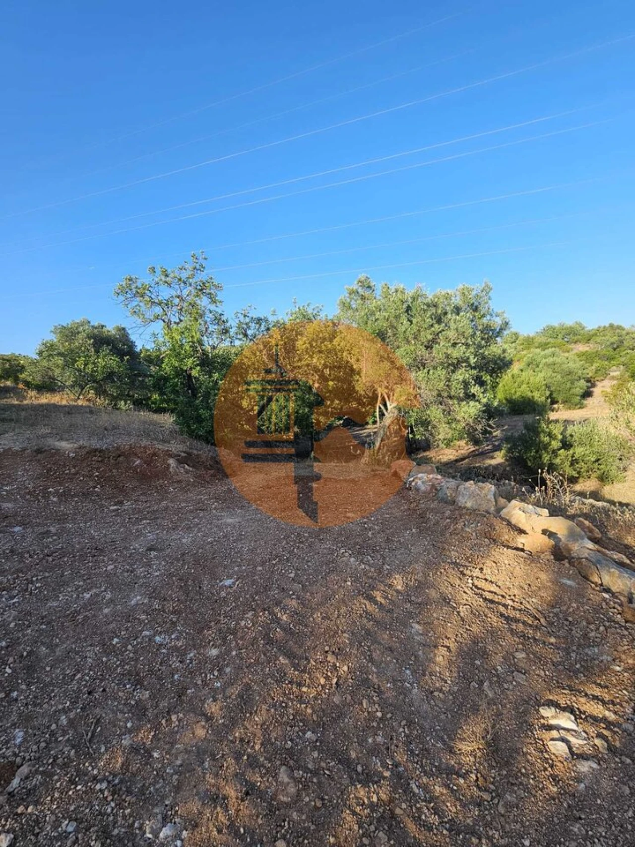 Terreno para Venda em Conceição e Estoi Foto 4