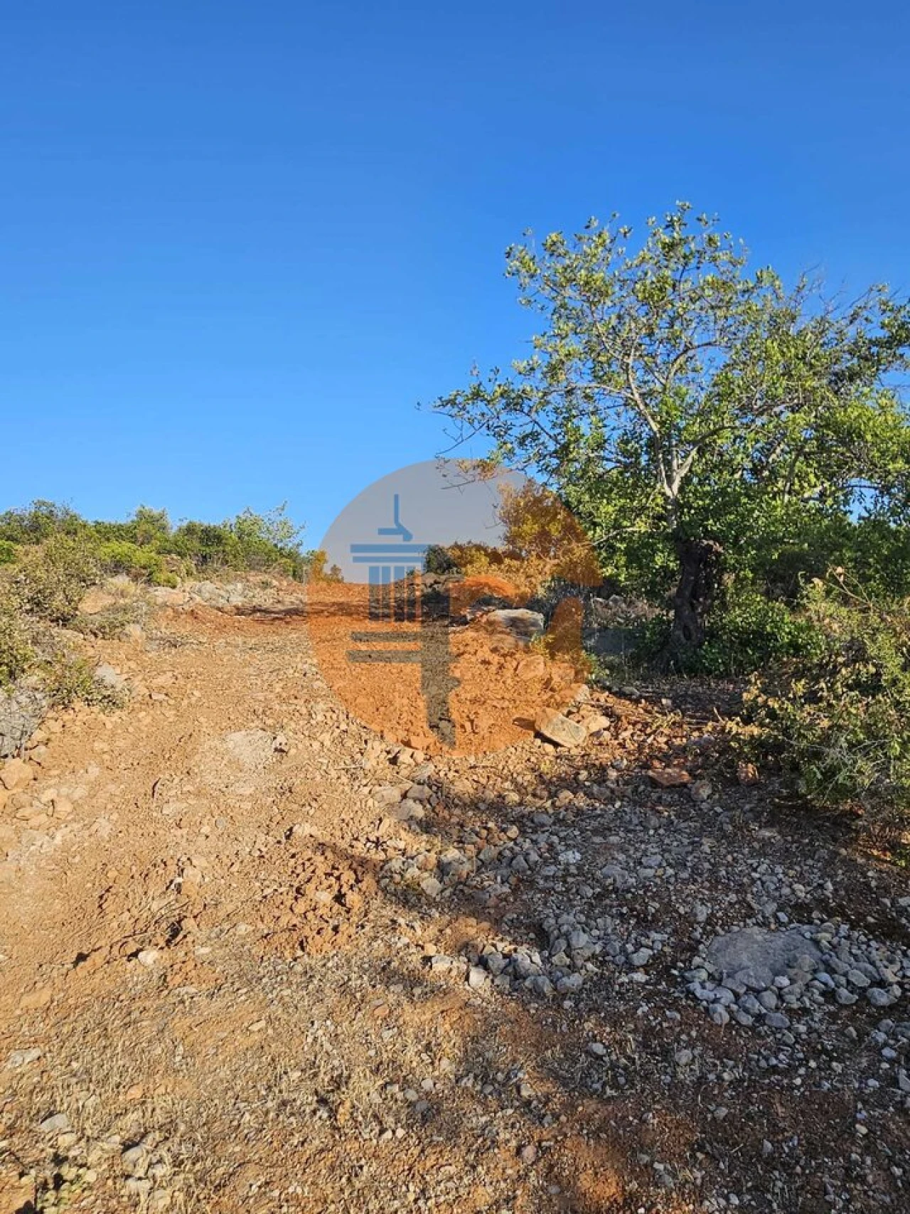 Terreno para Venda em Conceição e Estoi Foto 16