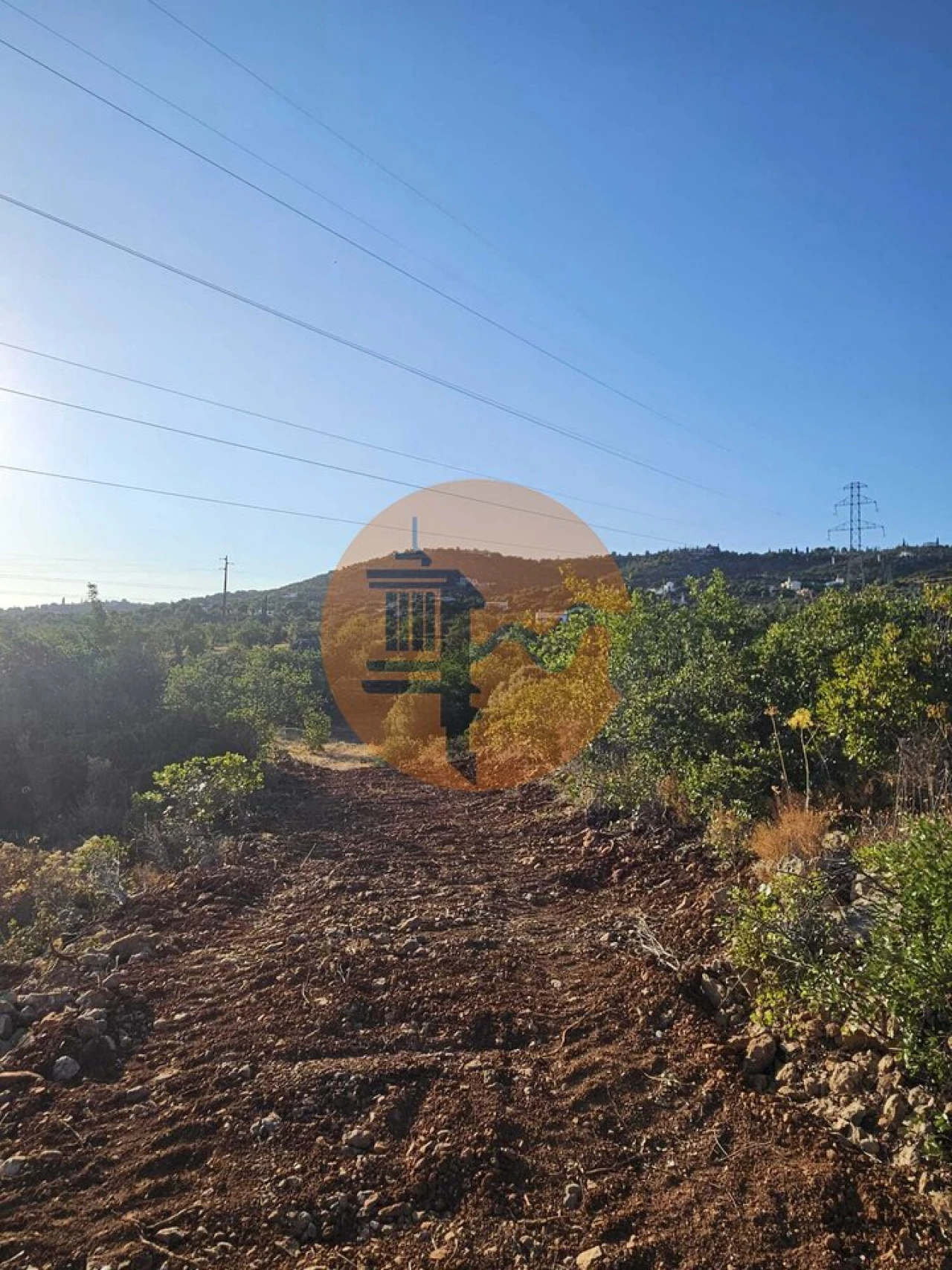 Terreno para Venda em Conceição e Estoi Foto 18