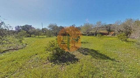 Terreno para Venda em Conceição e Estoi