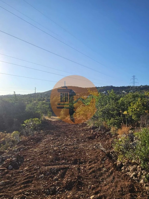 Terreno para Venda em Conceição e Estoi