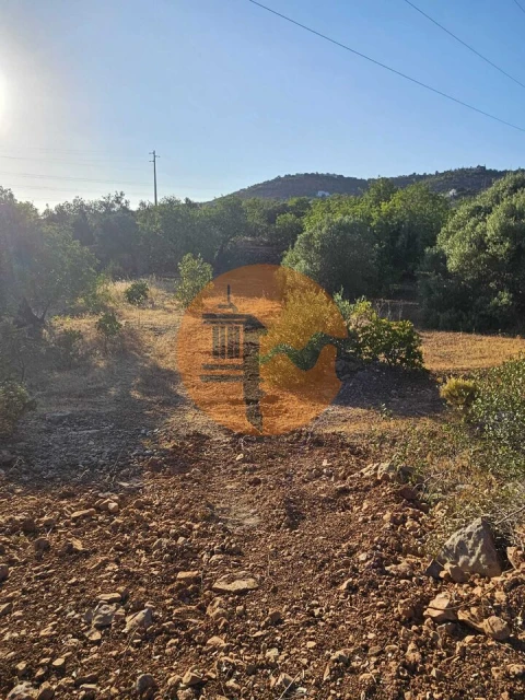 Terreno para Venda em Conceição e Estoi