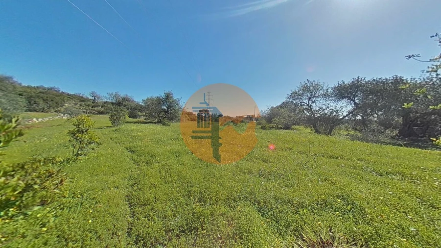 Terreno para Venda em Conceição e Estoi Foto 3