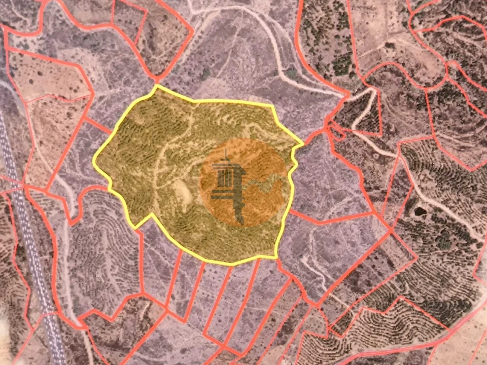 Terreno para Venda em Azinhal Foto 5