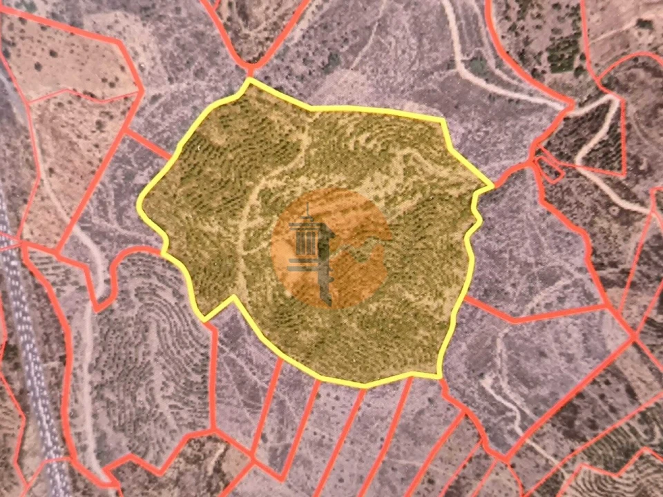 Terreno para Venda em Azinhal Foto 23