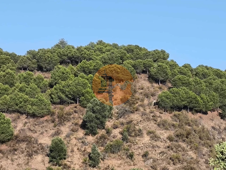 Terreno para Venda em Azinhal Foto 9