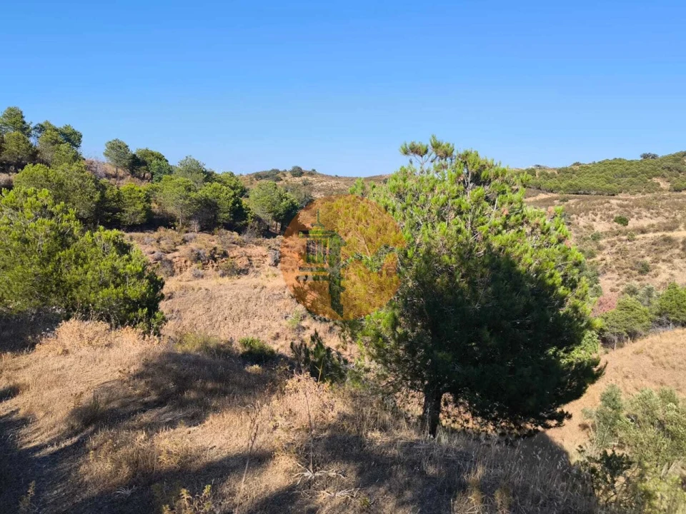 Terreno para Venda em Azinhal Foto 6