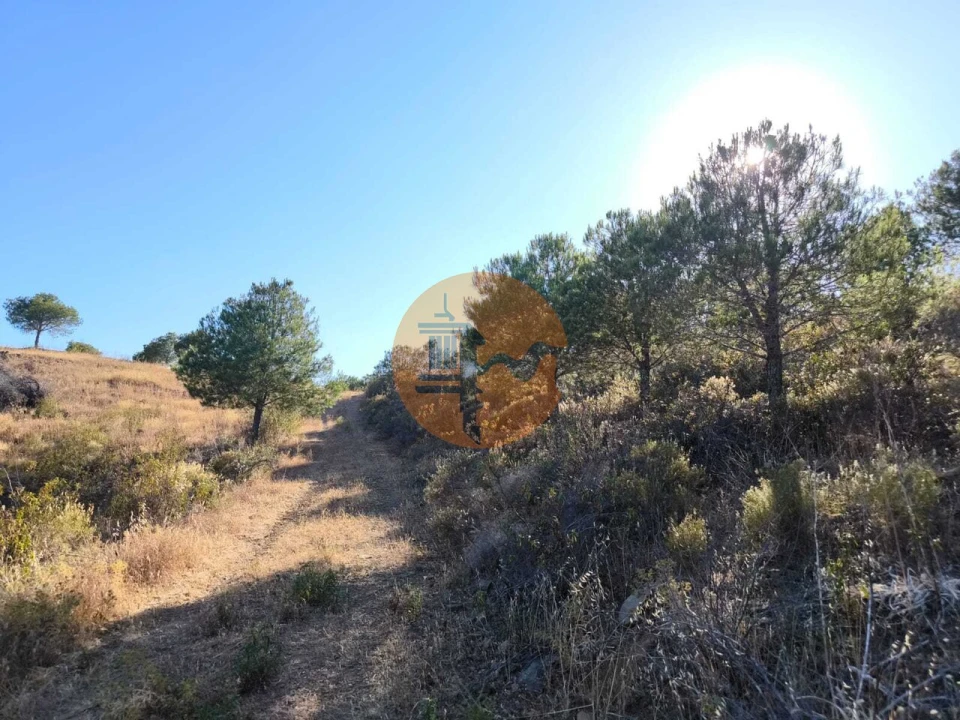 Terreno para Venda em Azinhal Foto 1