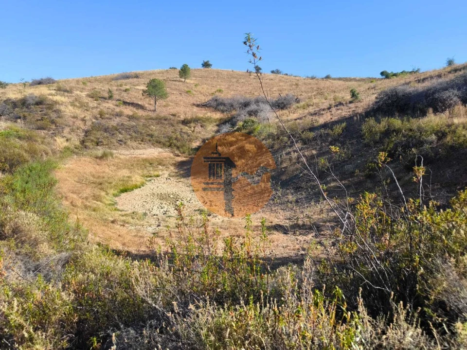 Terreno para Venda em Azinhal Foto 14