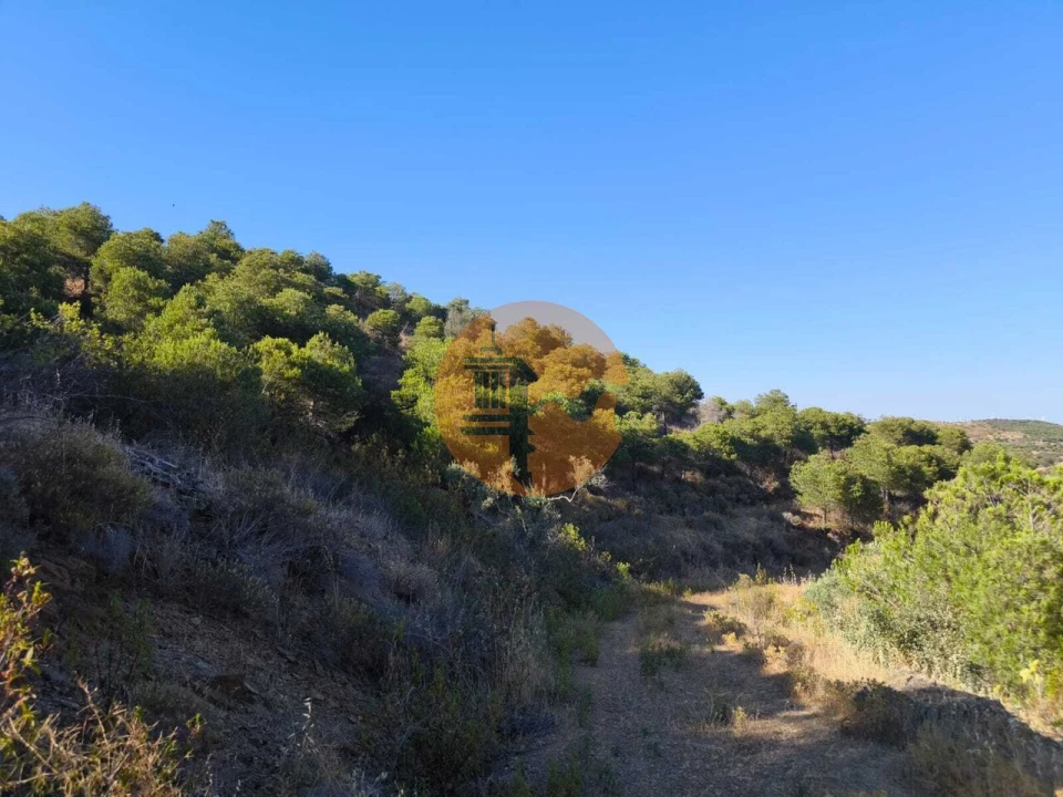 Terreno para Venda em Azinhal Foto 15