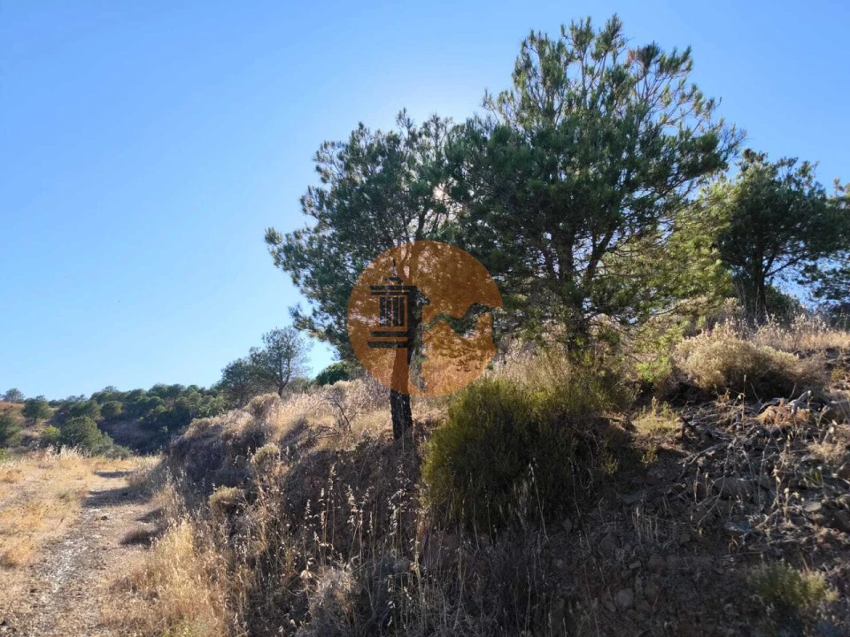 Terreno para Venda em Azinhal Foto 19