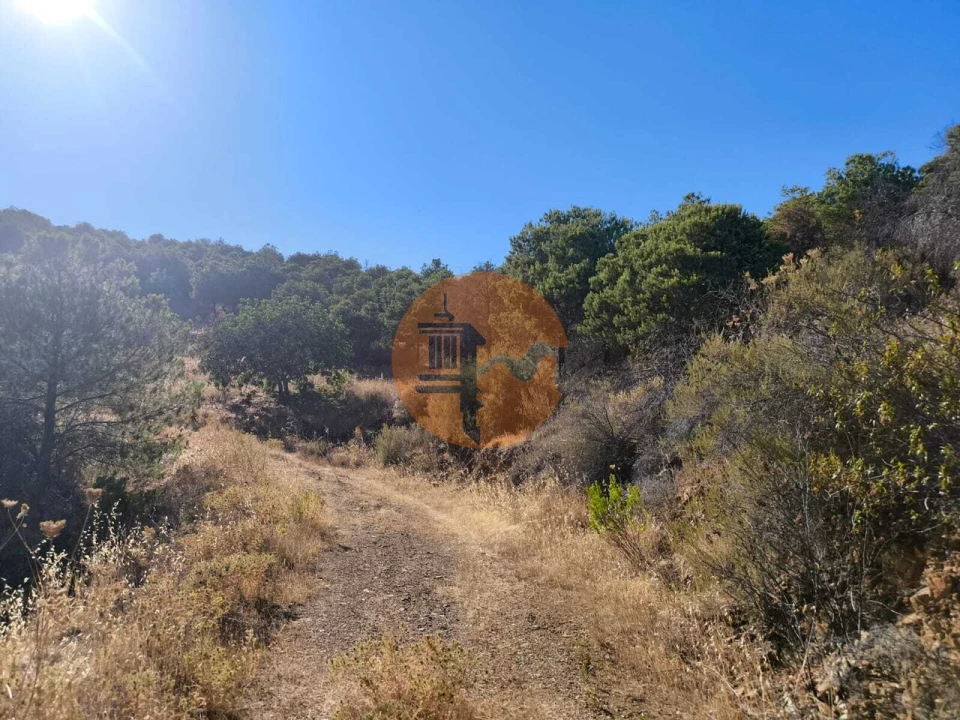 Terreno para Venda em Azinhal Foto 21