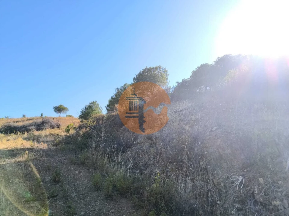 Terreno para Venda em Azinhal Foto 28
