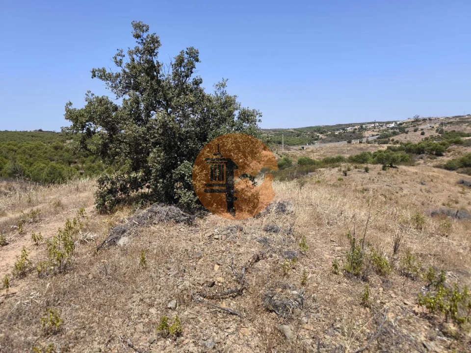 Terreno para Venda em Azinhal Foto 30