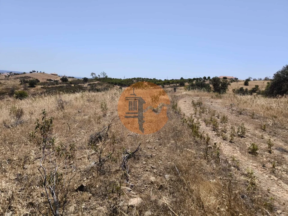 Terreno para Venda em Azinhal Foto 31