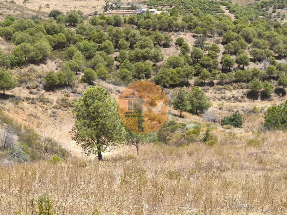 Terreno para Venda em Azinhal Foto 32