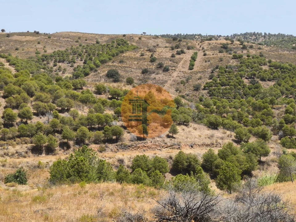 Terreno para Venda em Azinhal Foto 33