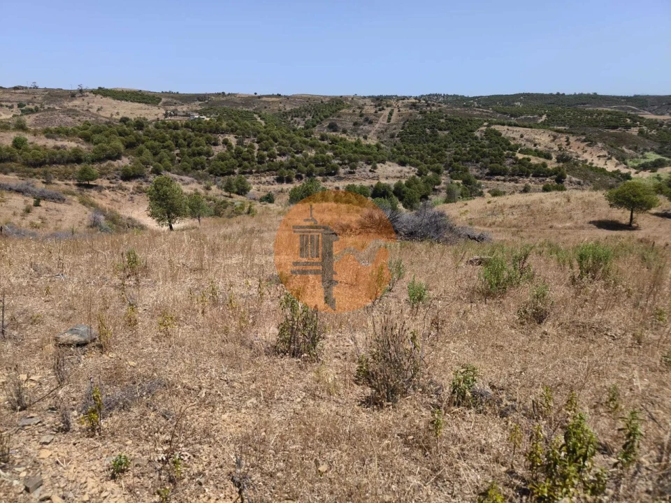 Terreno para Venda em Azinhal Foto 34