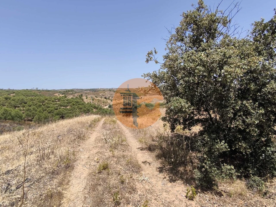 Terreno para Venda em Azinhal Foto 37