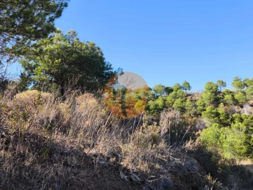 Terreno para Venda em Azinhal